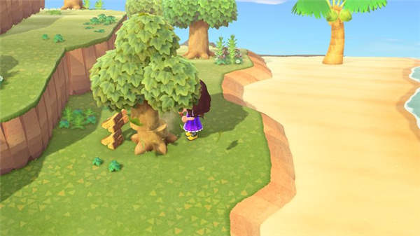 集合啦动物森友新手攻略