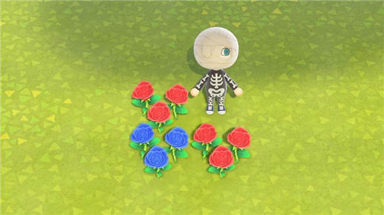 动物森友会蓝玫瑰攻略