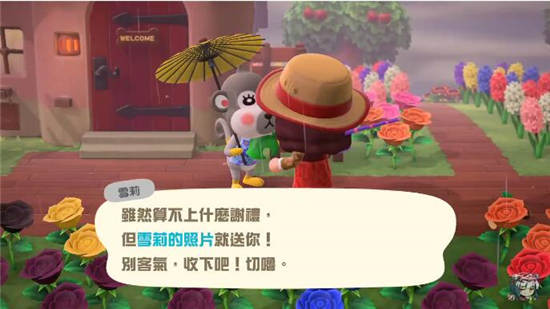 动物森友会取得村民照片攻略