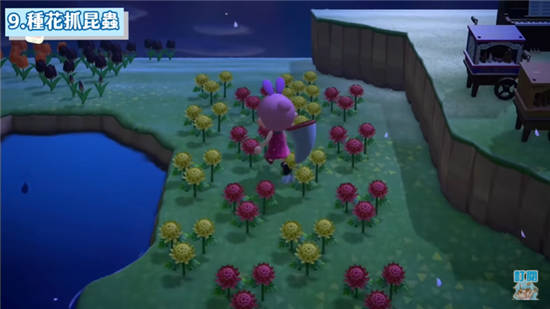 动物森友会12种赚钱方法攻略