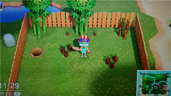 动物森友会种树的方法攻略