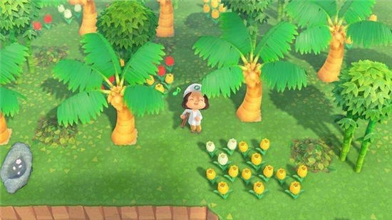动物森友会种树的方法攻略