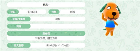 白目狗狗－罗宾汉