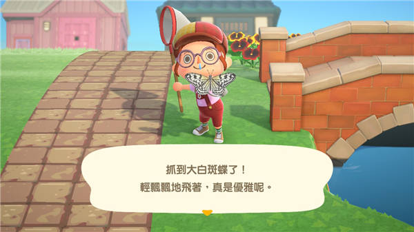 之前大量出现的乌鸦凤蝶被较低价的青带凤蝶给取代了。