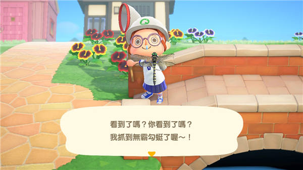 无霸勾蜓的出现率虽然不低，但要抓它有时必须跑很远。