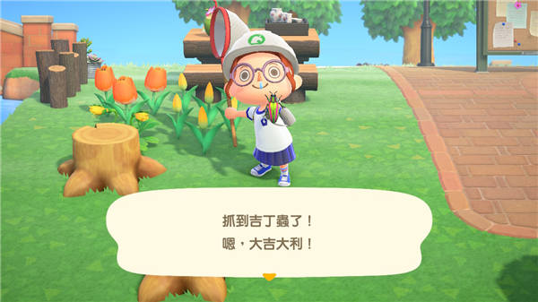 五月之后常常可以在树桩上发现虫虫。