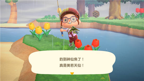 傍晚之后河中常常可以钓到高价的神仙鱼。