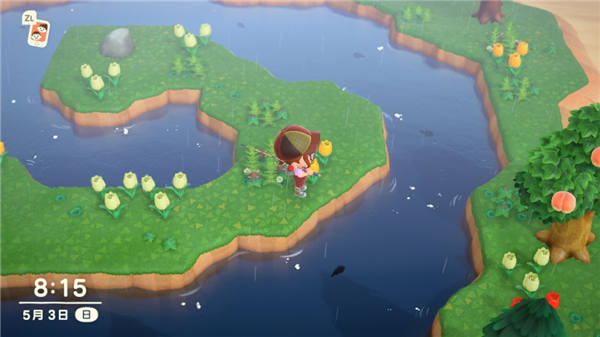 白天河川中的小鱼影很多都是高价鱼。