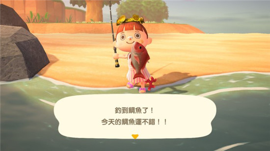 南半球冬天要钓鱼赚钱就靠大量的鲷鱼了。