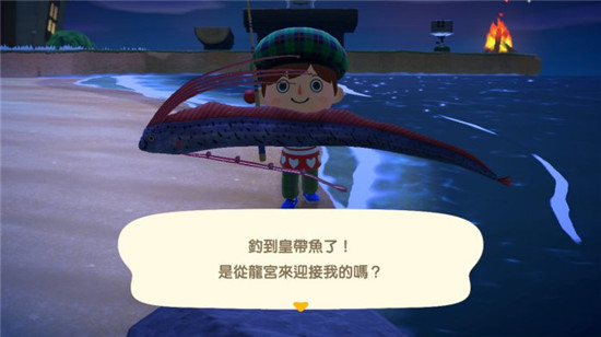 皇带鱼体型大，无论收藏或卖掉都不错。