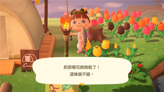 虽然是国宝鱼，但售价只有1000元。