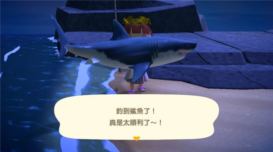 夏日海中的王者就是各种鲨鱼。