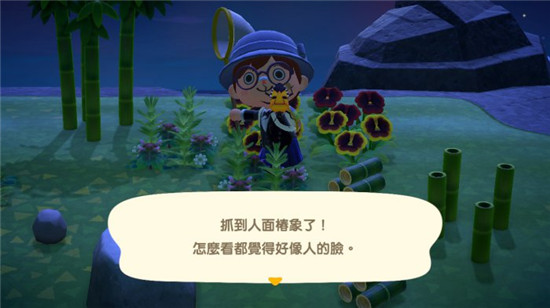 晚上到处都有的人面桩象卖价不算太低。