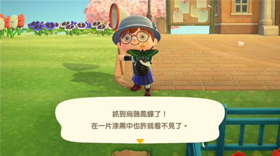 白天抓虫还是以各种蝴蝶为主。