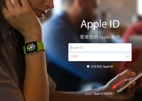 apple id密码忘了解决方法